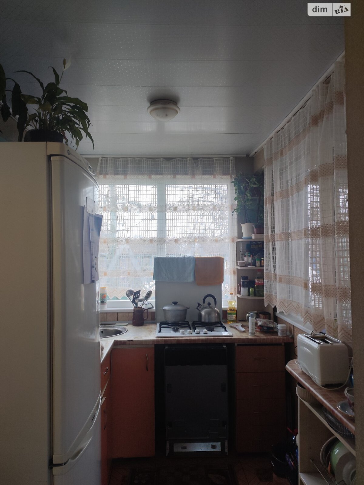 двоповерховий будинок, 100 кв. м, цегла. Здається помісячно в Новослобідці фото 1 двоповерховий будинок, 100 кв. м, цегла. Здається помісячно в Новослобідці фото 1