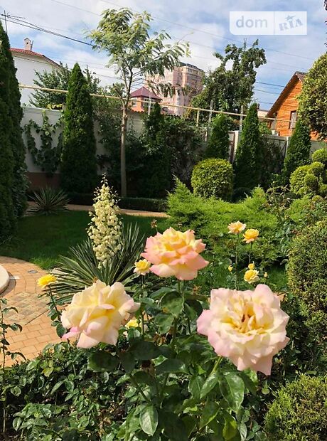 двухэтажный дом с камином, 280 кв. м, кирпич. Сдается помесячно в Одессе, в районе Большой Фонтан фото 1 двухэтажный дом с камином, 280 кв. м, кирпич. Сдается помесячно в Одессе, в районе Большой Фонтан фото 1