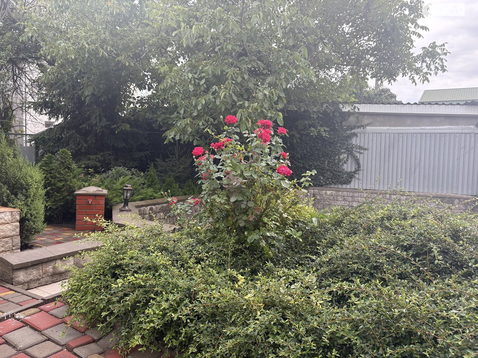 одноэтажный дом, 63.8 кв. м, пеноблок. Сдается помесячно в Одессе, в районе Приморский фото 1 одноэтажный дом, 63.8 кв. м, пеноблок. Сдается помесячно в Одессе, в районе Приморский фото 1