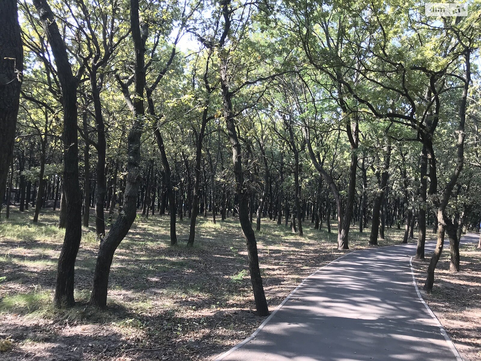одноэтажный дом, 63.8 кв. м, пеноблок. Сдается помесячно в Одессе, в районе Приморский фото 1 одноэтажный дом, 63.8 кв. м, пеноблок. Сдается помесячно в Одессе, в районе Приморский фото 1