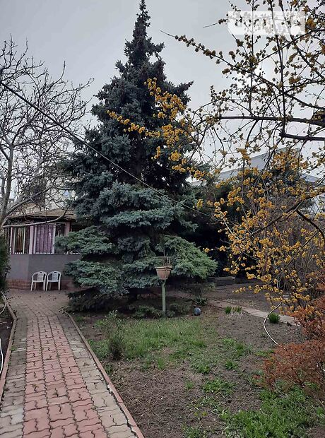 одноэтажный дом с мебелью, 65 кв. м, кирпич. Сдается помесячно в Одессе, в районе Средний Фонтан фото 1 одноэтажный дом с мебелью, 65 кв. м, кирпич. Сдается помесячно в Одессе, в районе Средний Фонтан фото 1