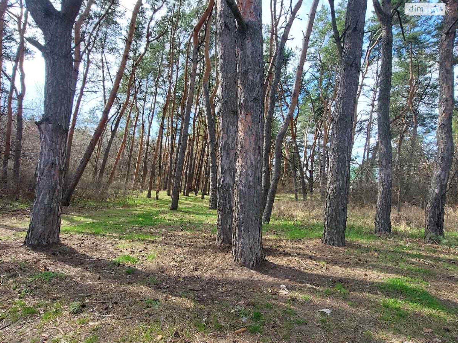 двухэтажный дом, 85 кв. м, кирпич. Сдается помесячно в Песчанке фото 1 двухэтажный дом, 85 кв. м, кирпич. Сдается помесячно в Песчанке фото 1