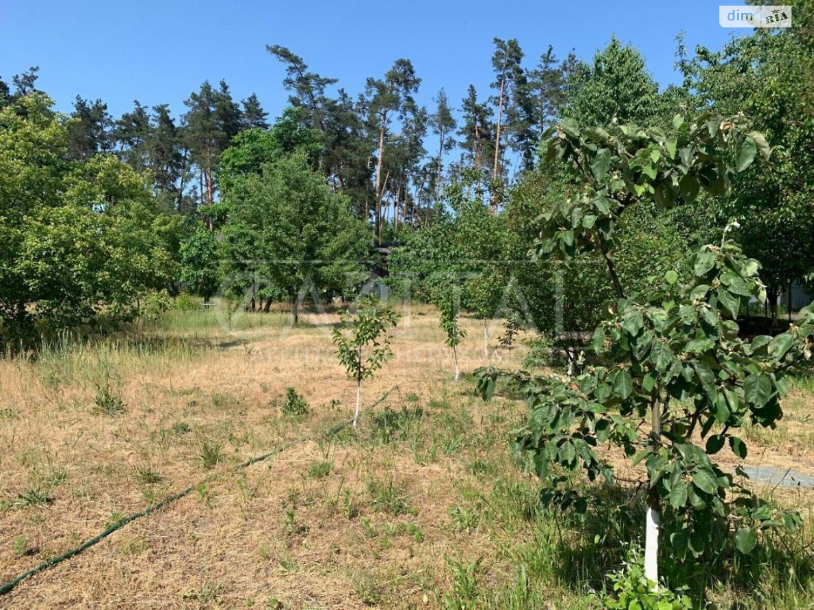 триповерховий будинок, 1300 кв. м, кирпич. Здається помісячно в Плютах фото 1