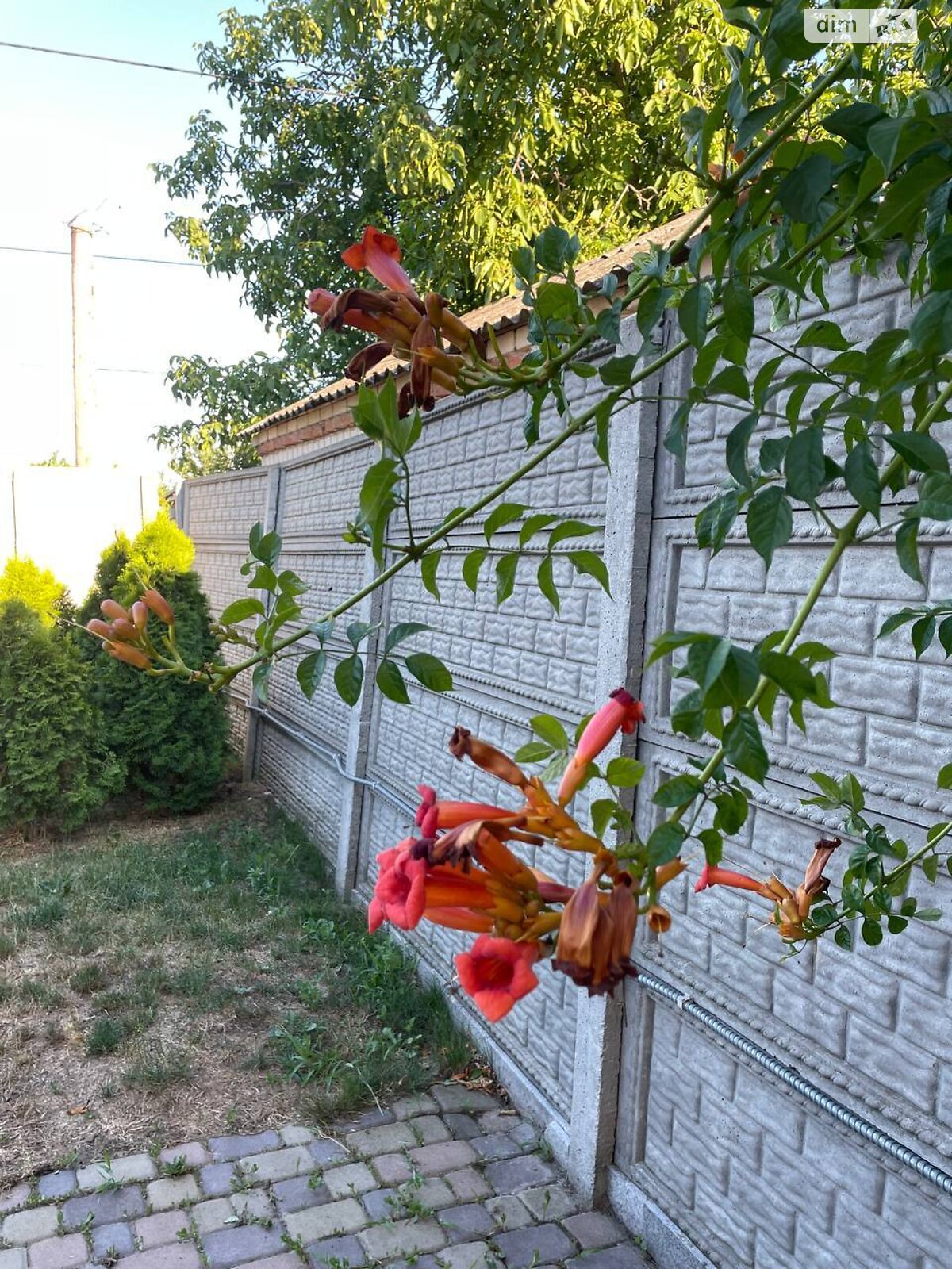 одноповерховий будинок, 92.2 кв. м, газобетон. Здається помісячно в Підгородньому фото 1