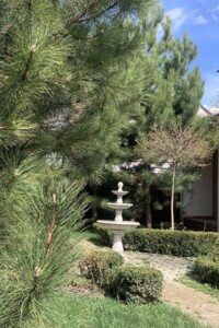 двухэтажный дом беседка, 250 кв. м, кирпич. Сдается помесячно в Подгородном фото 2 двухэтажный дом беседка, 250 кв. м, кирпич. Сдается помесячно в Подгородном фото 2