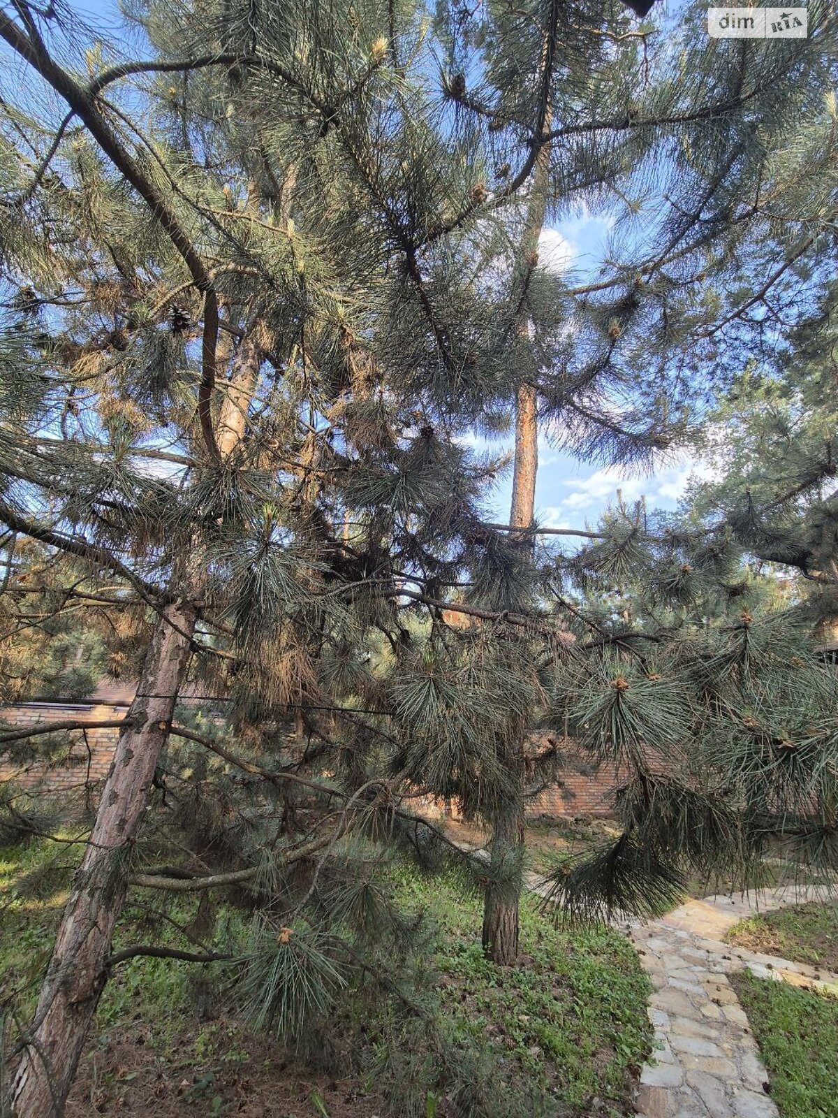 двоповерховий будинок, 150 кв. м, цегла. Здається помісячно в Самарі фото 1 двоповерховий будинок, 150 кв. м, цегла. Здається помісячно в Самарі фото 1