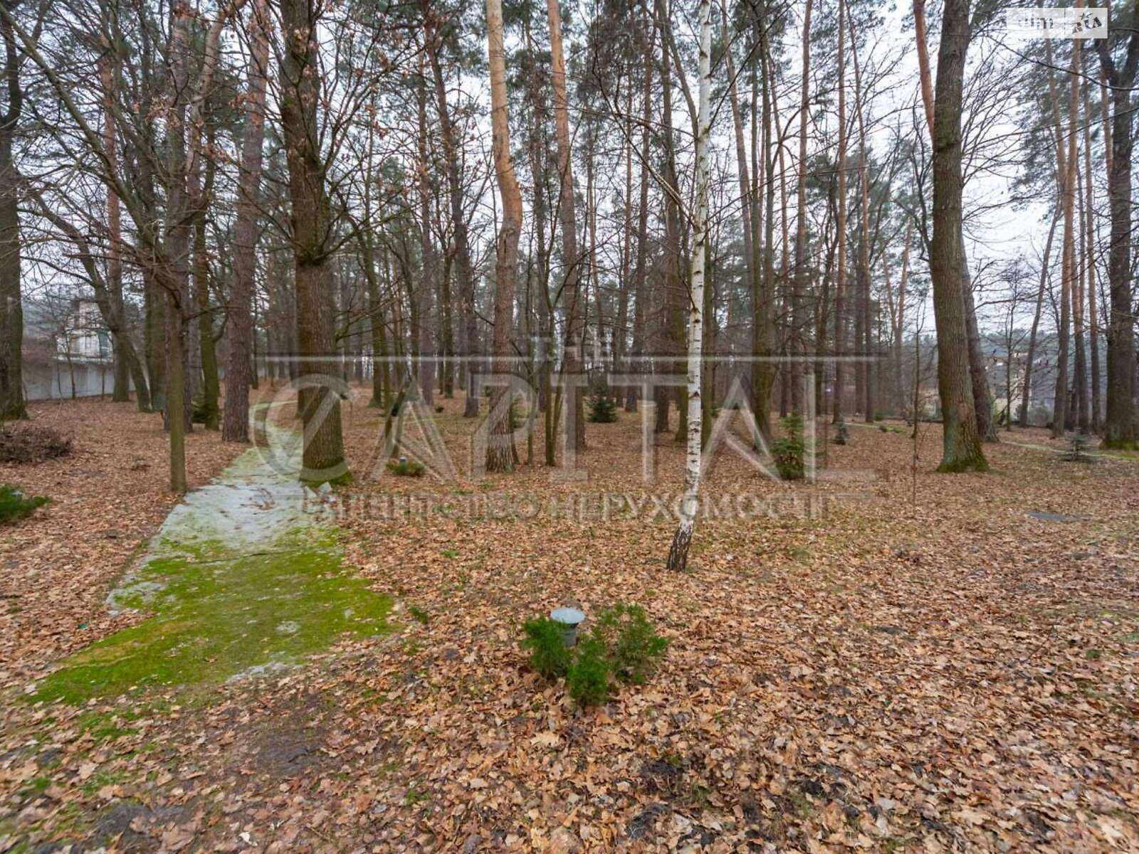 триповерховий будинок з верандою, 598.7 кв. м, кирпич. Здається помісячно в Шпитьках фото 1 триповерховий будинок з верандою, 598.7 кв. м, кирпич. Здається помісячно в Шпитьках фото 1