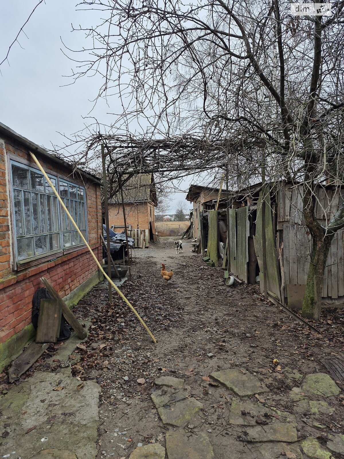 одноповерховий будинок, 43 кв. м, кирпич. Здається помісячно в Сосонці фото 1