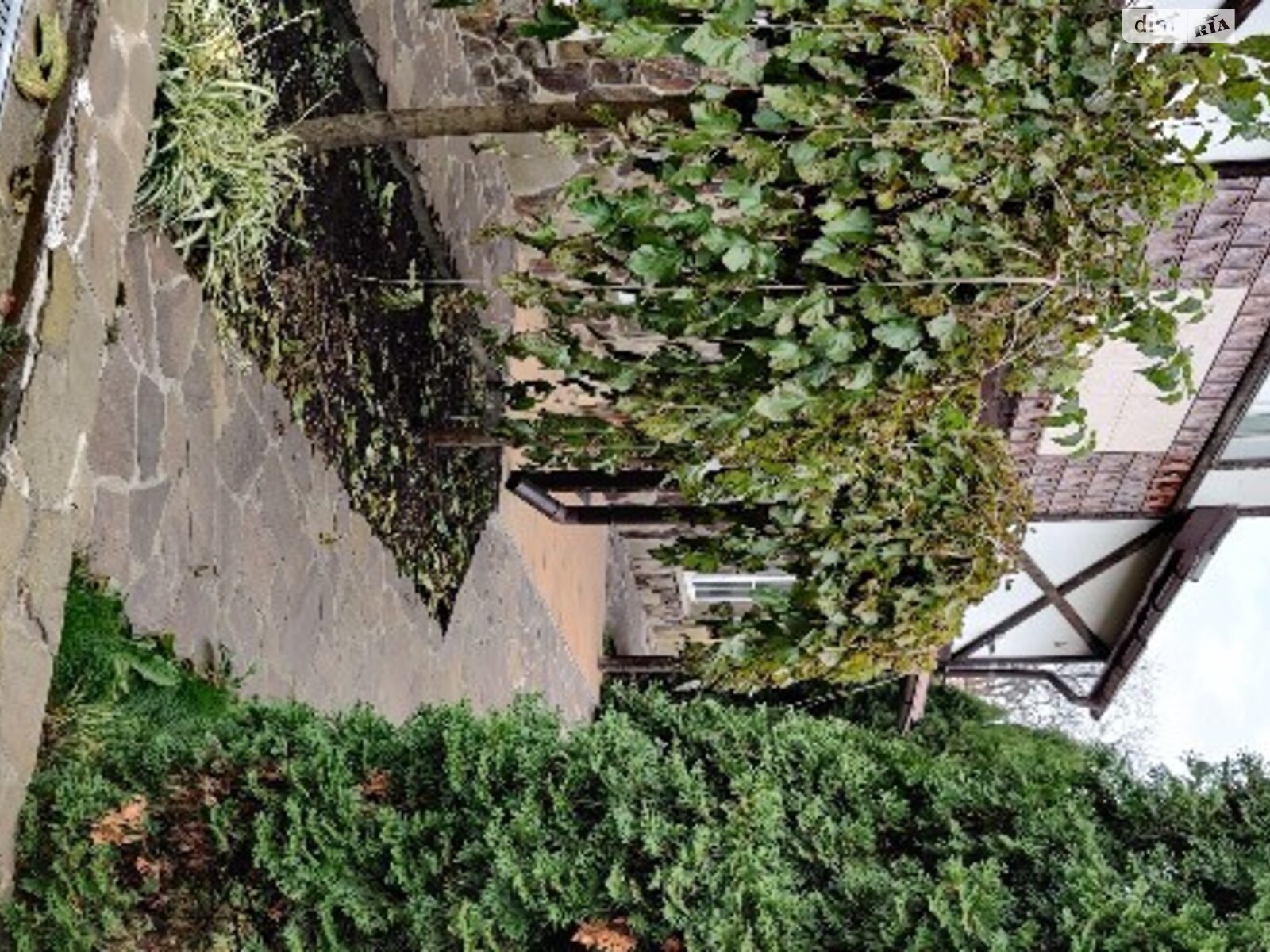 двоповерховий будинок з ремонтом, 170 кв. м, кирпич. Здається помісячно в Старих Петрівцях фото 1 двоповерховий будинок з ремонтом, 170 кв. м, кирпич. Здається помісячно в Старих Петрівцях фото 1