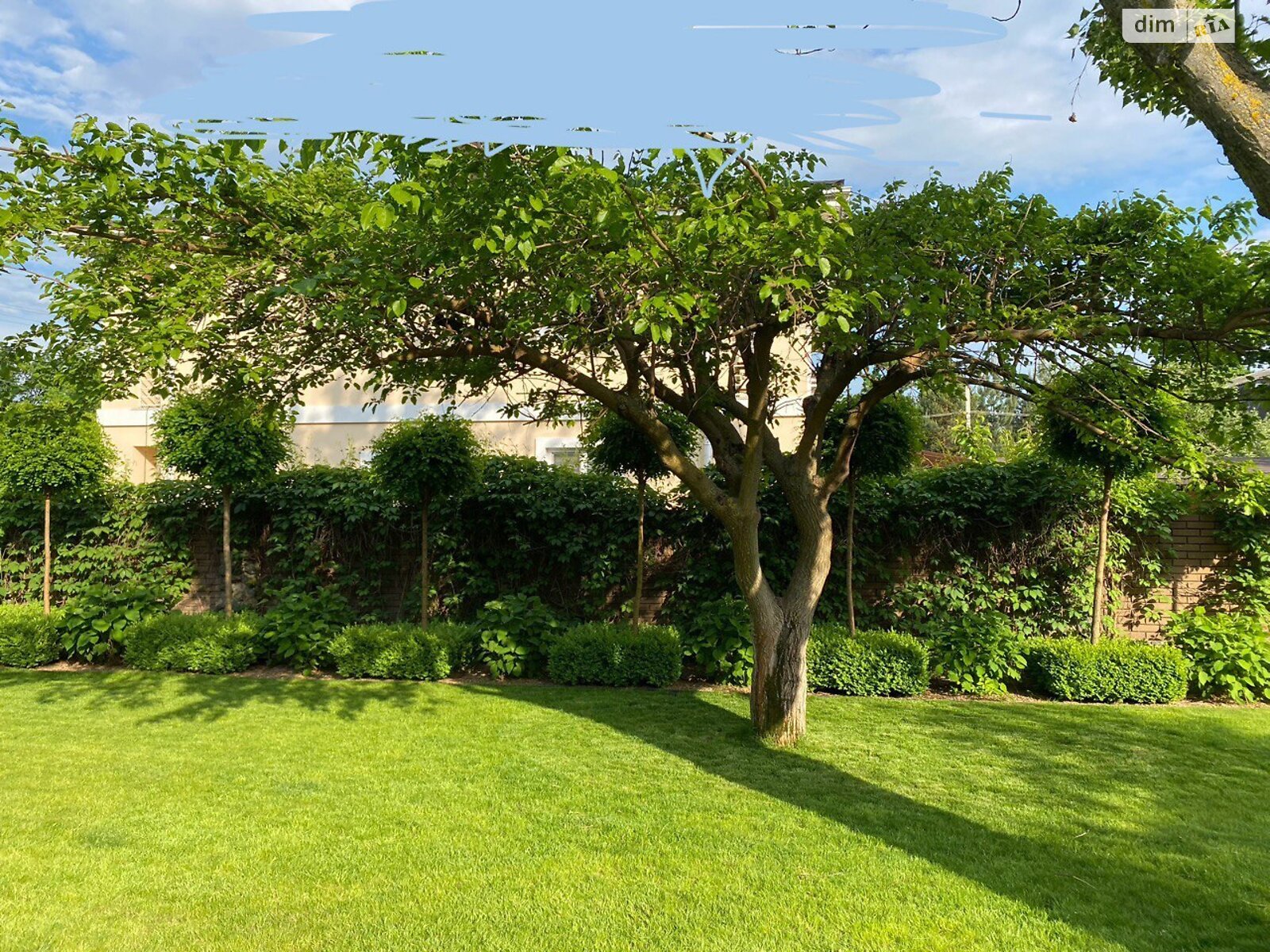 одноповерховий будинок з верандою, 226.1 кв. м, цегла. Здається помісячно в Ірпені фото 1 одноповерховий будинок з верандою, 226.1 кв. м, цегла. Здається помісячно в Ірпені фото 1