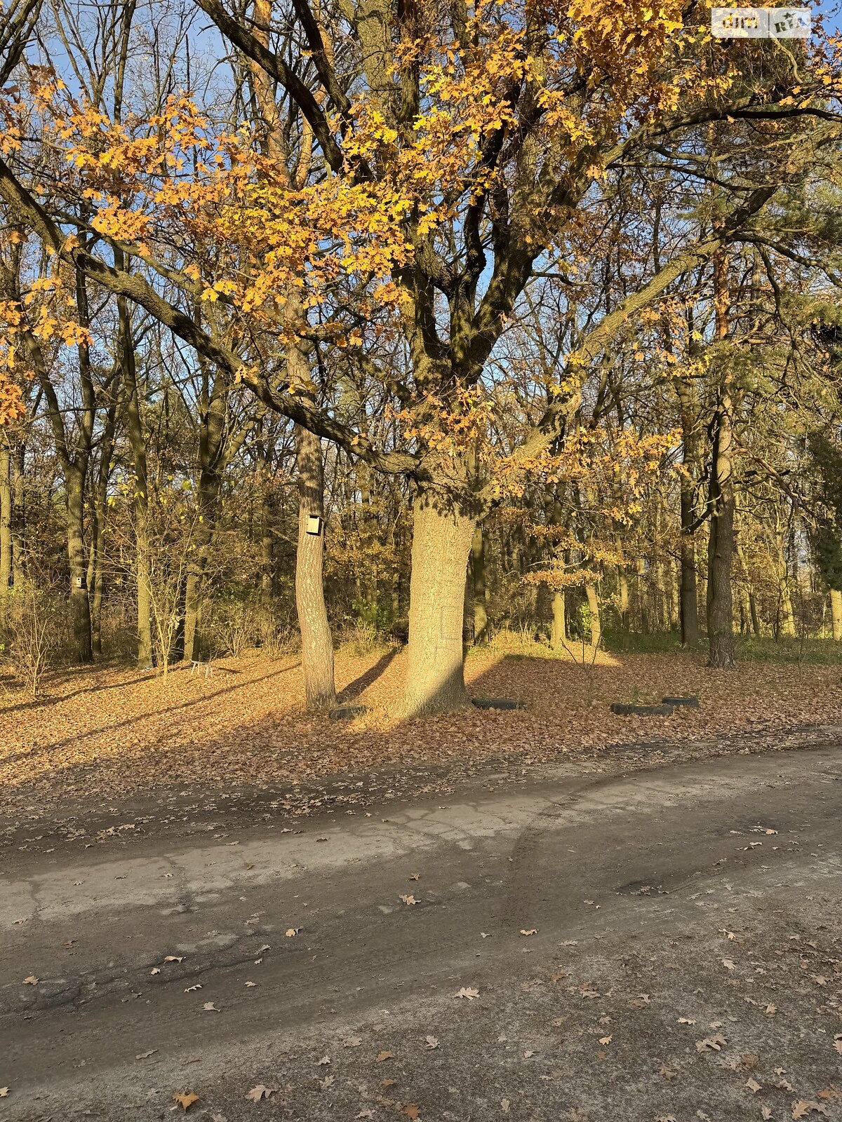 двопроверховий будинок з гаражем, 130 кв. м, цегла. Здається помісячно в Сумах, в районі Баранівка фото 1