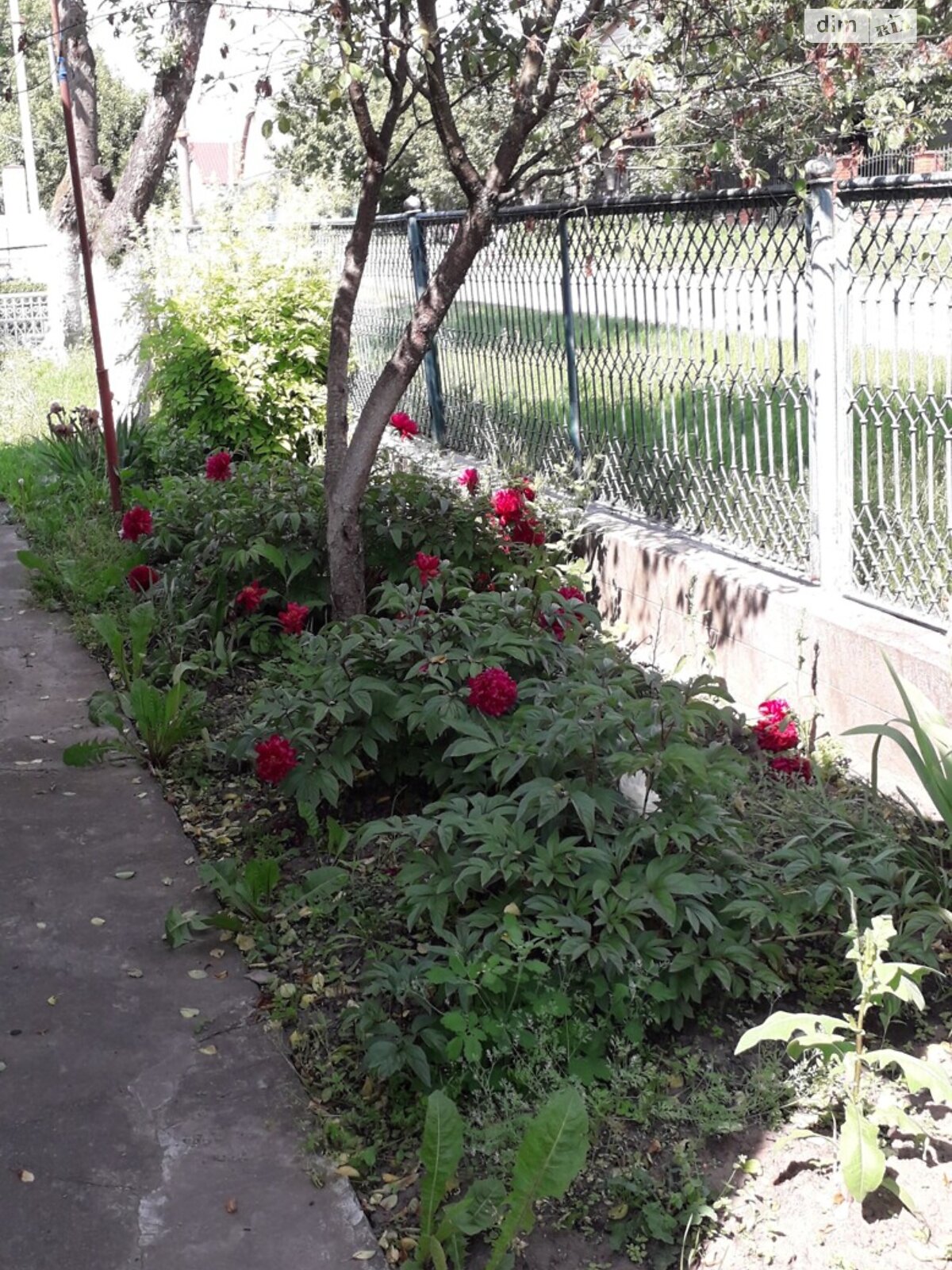 одноэтажный дом с верандой, 92 кв. м, кирпич. Сдается помесячно в Тернополе, в районе Восточный фото 1