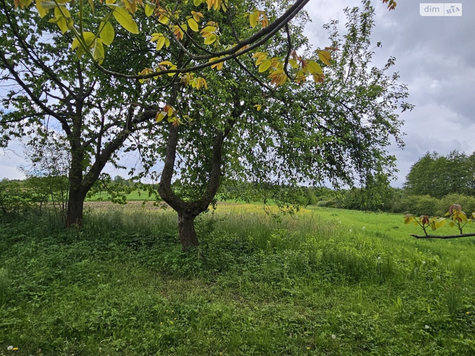 одноэтажный дом с верандой, 60 кв. м, кирпич. Сдается помесячно в Твирже фото 1 одноэтажный дом с верандой, 60 кв. м, кирпич. Сдается помесячно в Твирже фото 1