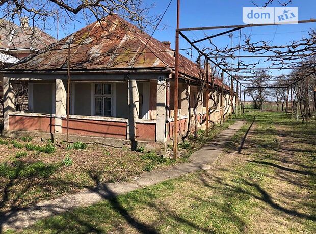 одноэтажный дом, 90 кв. м, глинобитный. Сдается помесячно в село Долгое Поле, Закарпатская обл. фото 1 одноэтажный дом, 90 кв. м, глинобитный. Сдается помесячно в село Долгое Поле, Закарпатская обл. фото 1