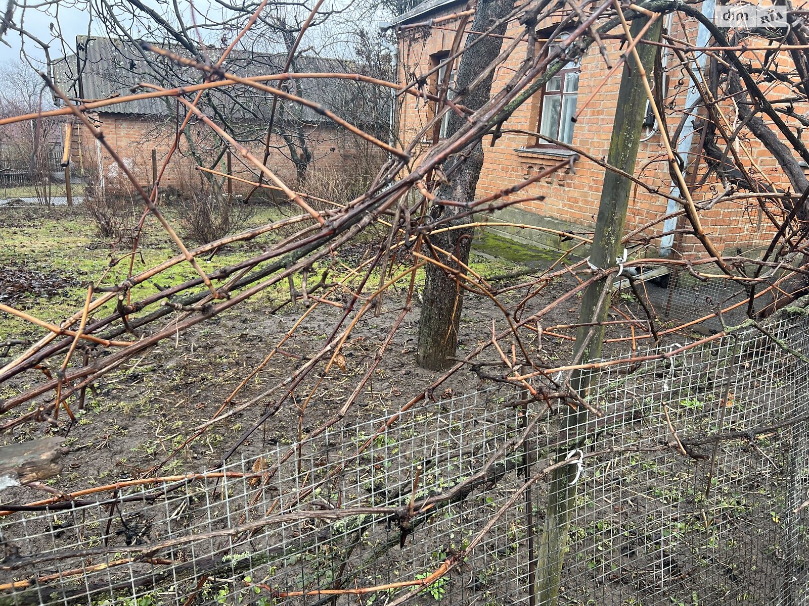 одноэтажный дом, 70 кв. м, кирпич. Сдается помесячно в Виннице, в районе Бучмы фото 1