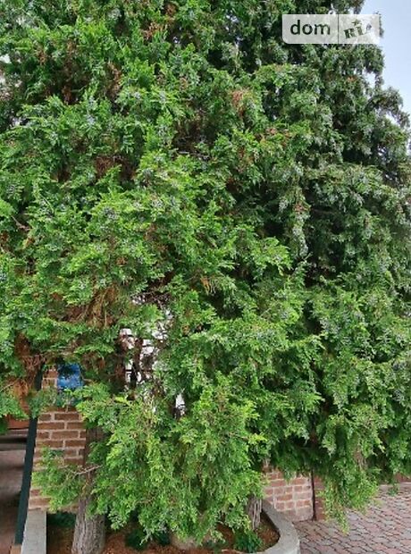 двухэтажный дом с камином, 300 кв. м, кирпич. Сдается помесячно в Виннице, в районе Ленинский фото 1 двухэтажный дом с камином, 300 кв. м, кирпич. Сдается помесячно в Виннице, в районе Ленинский фото 1