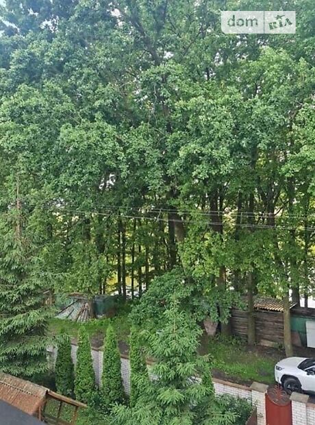 двухэтажный дом с камином, 250 кв. м, кирпич. Сдается помесячно в село Лука-Мелешковская, Винницкая обл. фото 1 двухэтажный дом с камином, 250 кв. м, кирпич. Сдается помесячно в село Лука-Мелешковская, Винницкая обл. фото 1