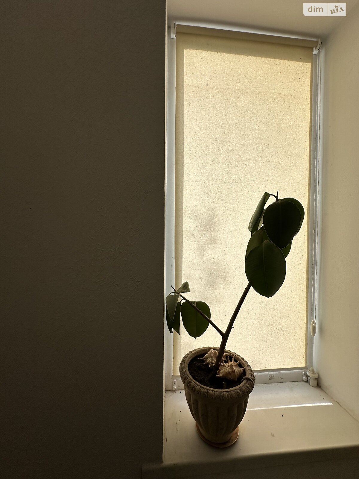 двоповерховий будинок, 100 кв. м, цегла. Здається помісячно в Вінниці, в районі undefined фото 1 двопроверховий будинок, 100 кв. м, цегла. Здається помісячно в Вінниці, в районі undefined фото 1