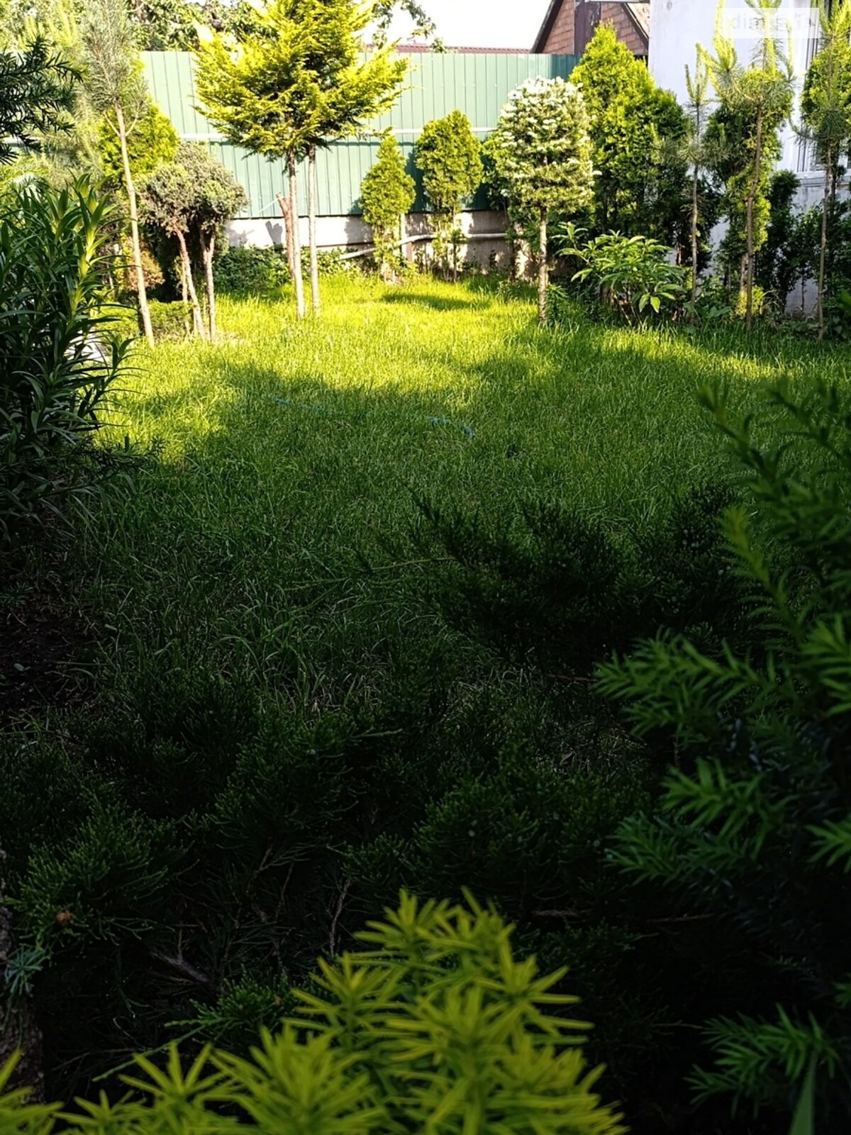 однопроверховий будинок, 60 кв. м, кирпич. Здається помісячно в Вінниці, в районі Старе місто фото 1