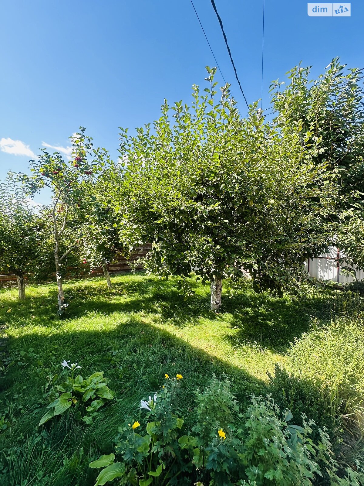 двоповерховий будинок, 85 кв. м, кирпич. Здається помісячно в Вінниці, в районі Старе місто фото 1 двопроверховий будинок, 85 кв. м, кирпич. Здається помісячно в Вінниці, в районі Старе місто фото 1