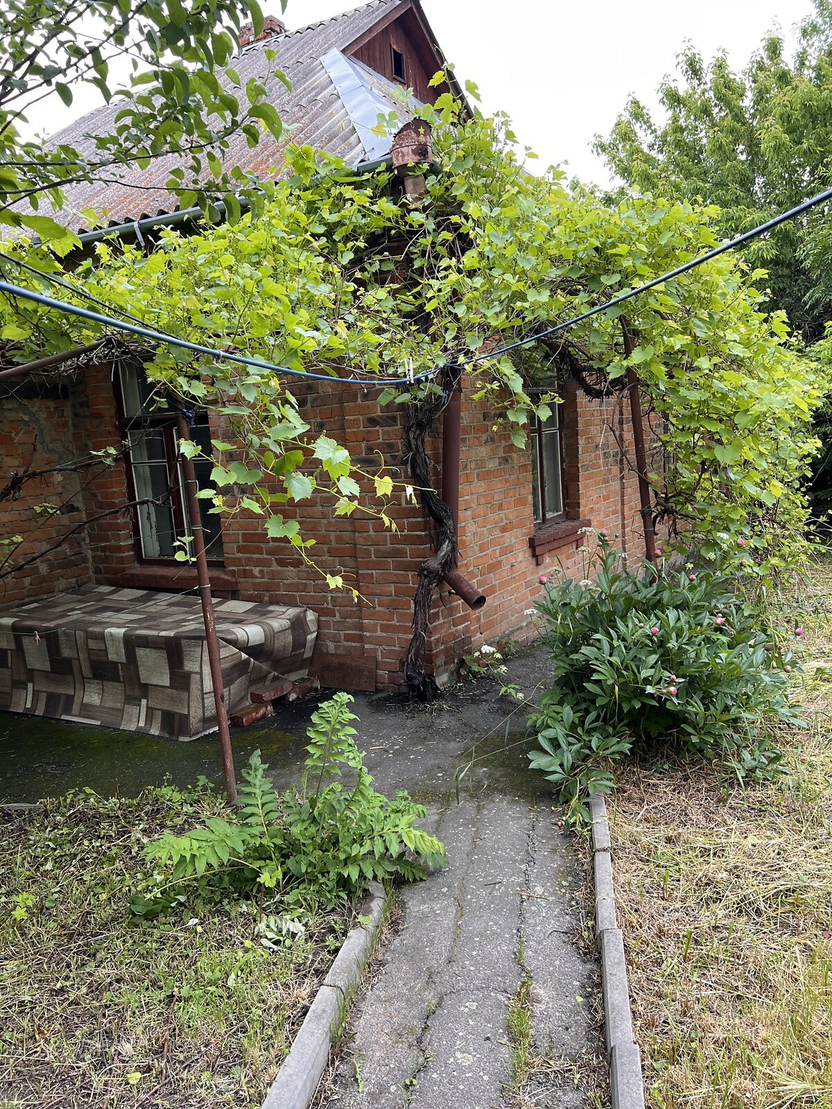 одноповерховий будинок, 70 кв. м, кирпич. Здається помісячно в Вінниці, в районі Старе місто фото 1 однопроверховий будинок, 70 кв. м, кирпич. Здається помісячно в Вінниці, в районі Старе місто фото 1