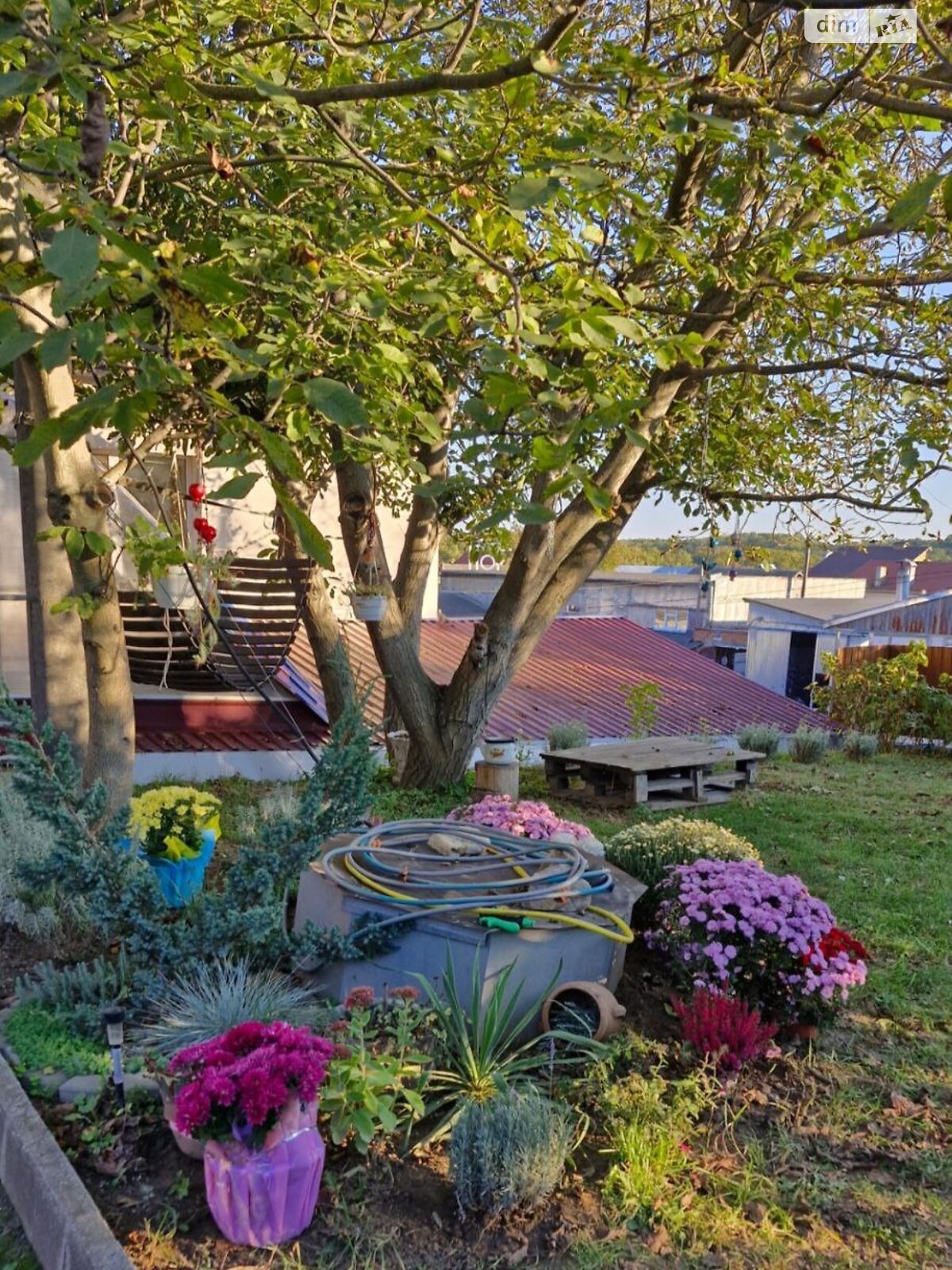 одноэтажный дом с ремонтом, 100 кв. м, кирпич. Сдается помесячно в Виннице, в районе Старый город фото 1 одноэтажный дом с ремонтом, 100 кв. м, кирпич. Сдается помесячно в Виннице, в районе Старый город фото 1