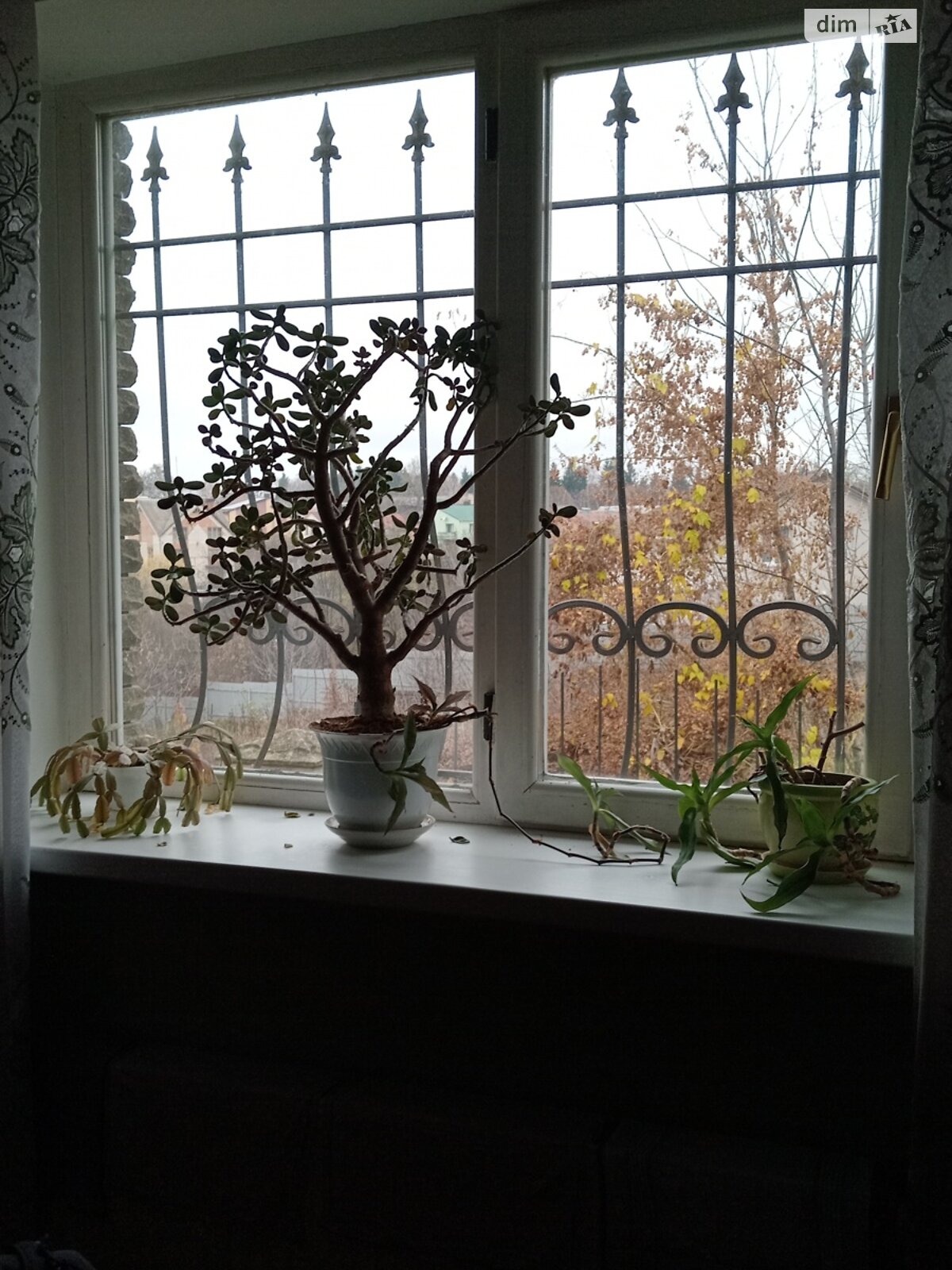 двоповерховий будинок, 80 кв. м, кирпич. Здається помісячно в Вінниці, в районі Старе місто фото 1 двопроверховий будинок, 80 кв. м, кирпич. Здається помісячно в Вінниці, в районі Старе місто фото 1