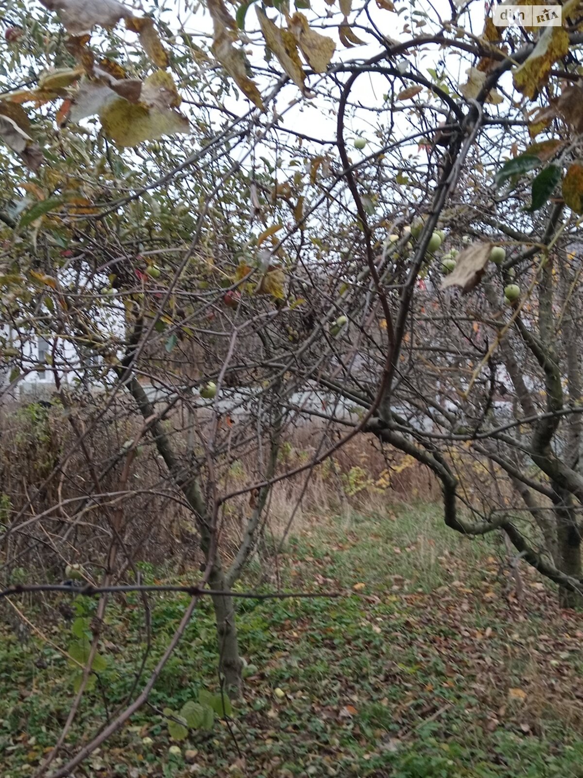 двоповерховий будинок, 80 кв. м, кирпич. Здається помісячно в Вінниці, в районі Старе місто фото 1 двопроверховий будинок, 80 кв. м, кирпич. Здається помісячно в Вінниці, в районі Старе місто фото 1