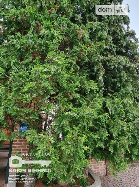 двухэтажный дом с камином, 300 кв. м, кирпич. Сдается помесячно в Виннице, в районе Центр фото 1 двухэтажный дом с камином, 300 кв. м, кирпич. Сдается помесячно в Виннице, в районе Центр фото 1