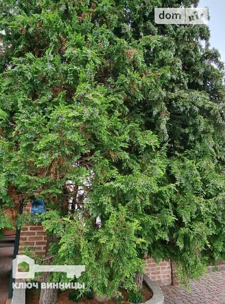 двухэтажный дом с камином, 300 кв. м, кирпич. Сдается помесячно в Виннице, в районе Центр фото 1 двухэтажный дом с камином, 300 кв. м, кирпич. Сдается помесячно в Виннице, в районе Центр фото 1
