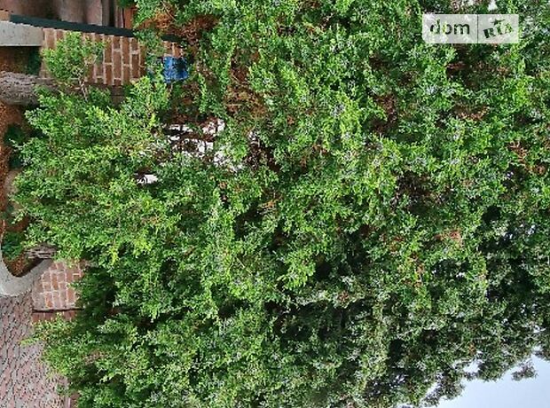 двухэтажный дом с камином, 300 кв. м, кирпич. Сдается помесячно в Виннице, в районе Центр фото 1 двухэтажный дом с камином, 300 кв. м, кирпич. Сдается помесячно в Виннице, в районе Центр фото 1