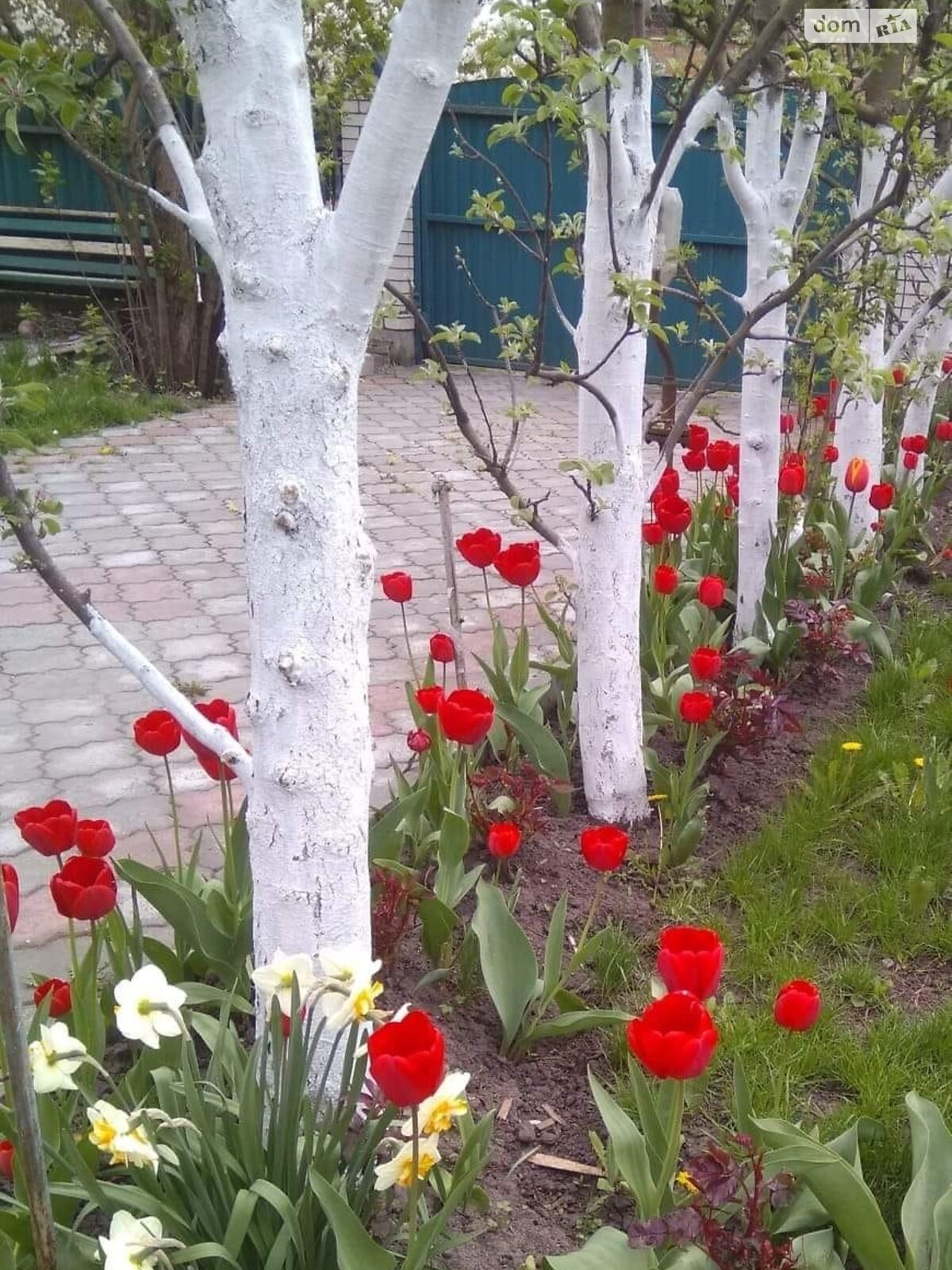 двоповерховий будинок з балконом, 240 кв. м, цегла. Здається помісячно в Вінниці, в районі Замостя фото 1 двопроверховий будинок з балконом, 240 кв. м, цегла. Здається помісячно в Вінниці, в районі Замостя фото 1