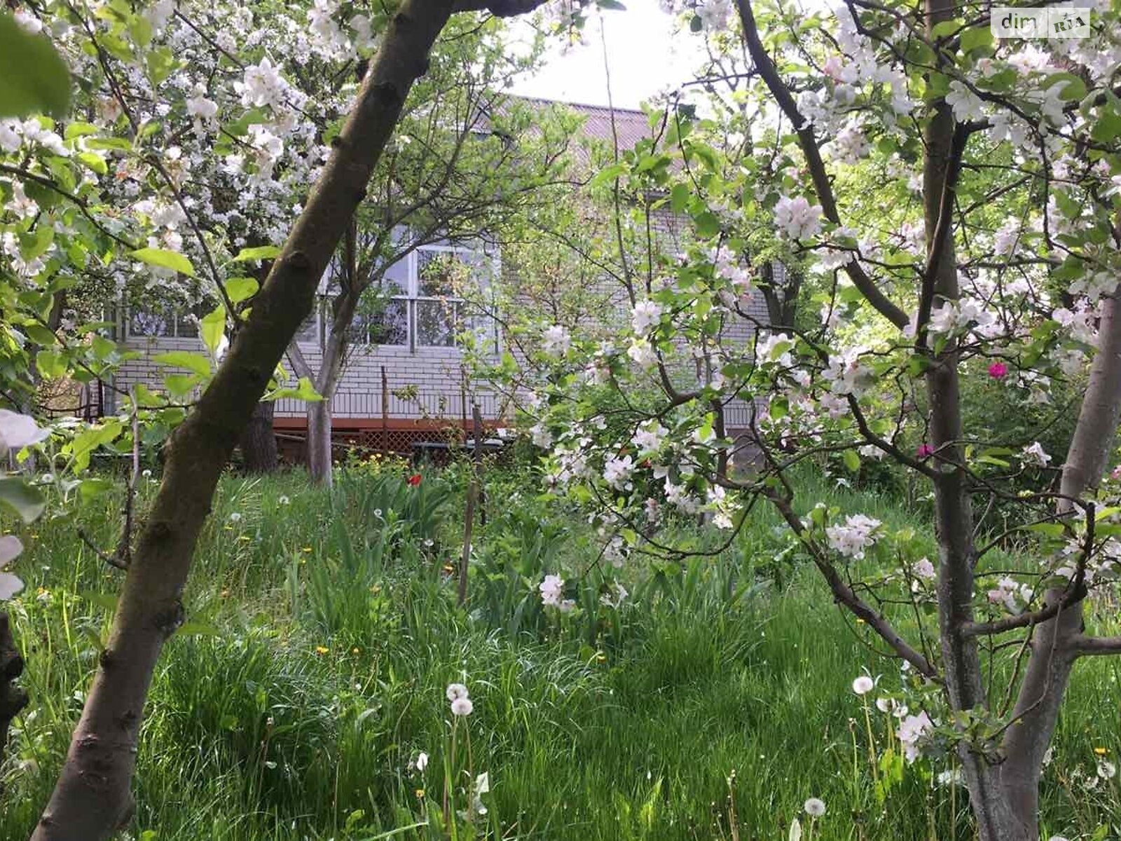 двоповерховий будинок з балконом, 240 кв. м, цегла. Здається помісячно в Вінниці, в районі Замостя фото 1 двопроверховий будинок з балконом, 240 кв. м, цегла. Здається помісячно в Вінниці, в районі Замостя фото 1