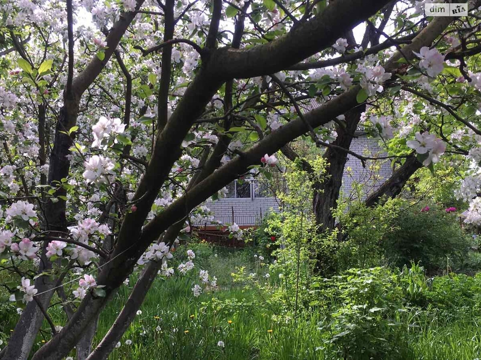 двоповерховий будинок з балконом, 240 кв. м, цегла. Здається помісячно в Вінниці, в районі Замостя фото 1 двопроверховий будинок з балконом, 240 кв. м, цегла. Здається помісячно в Вінниці, в районі Замостя фото 1