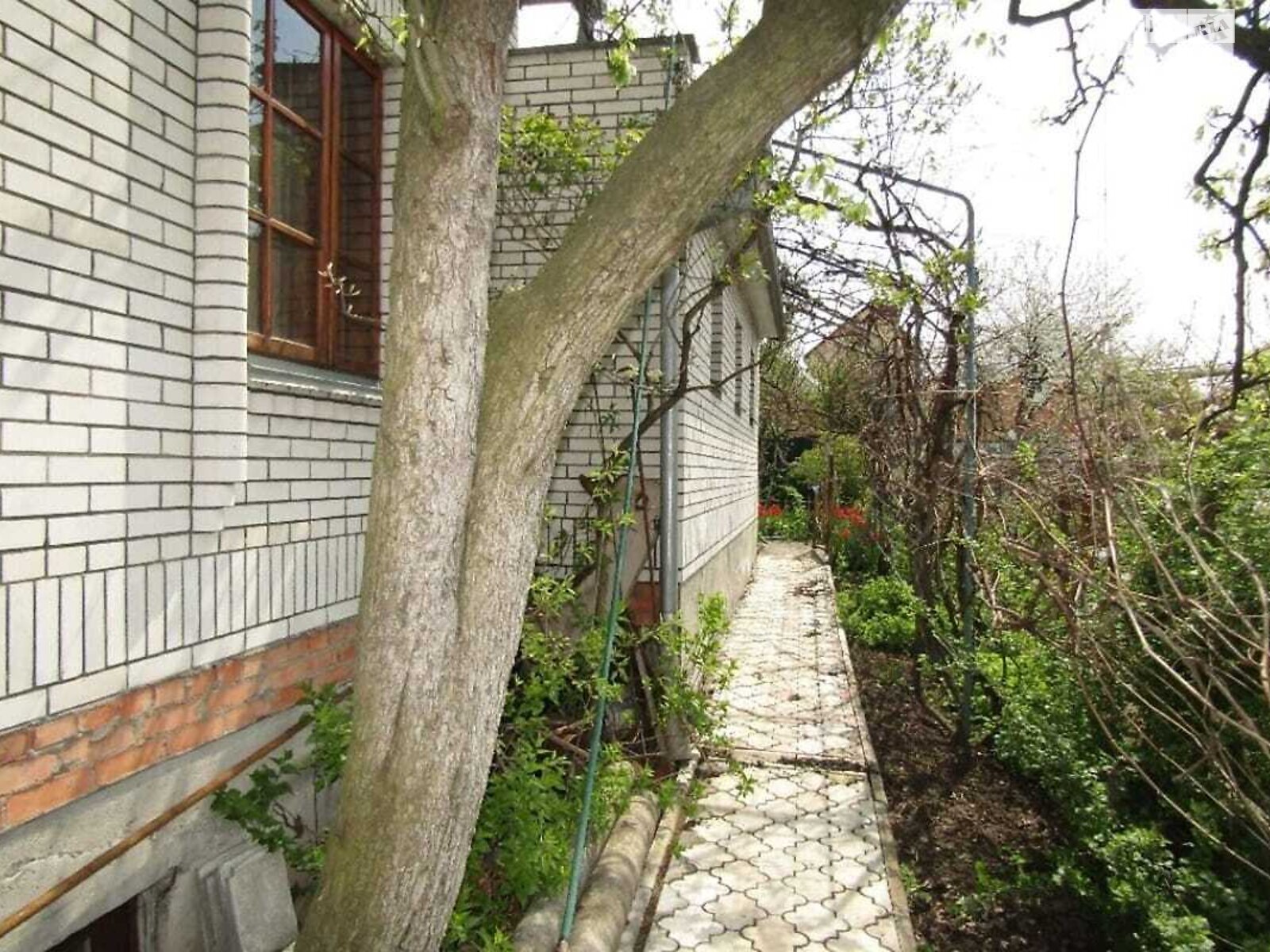 двоповерховий будинок з балконом, 240 кв. м, цегла. Здається помісячно в Вінниці, в районі Замостя фото 1 двопроверховий будинок з балконом, 240 кв. м, цегла. Здається помісячно в Вінниці, в районі Замостя фото 1