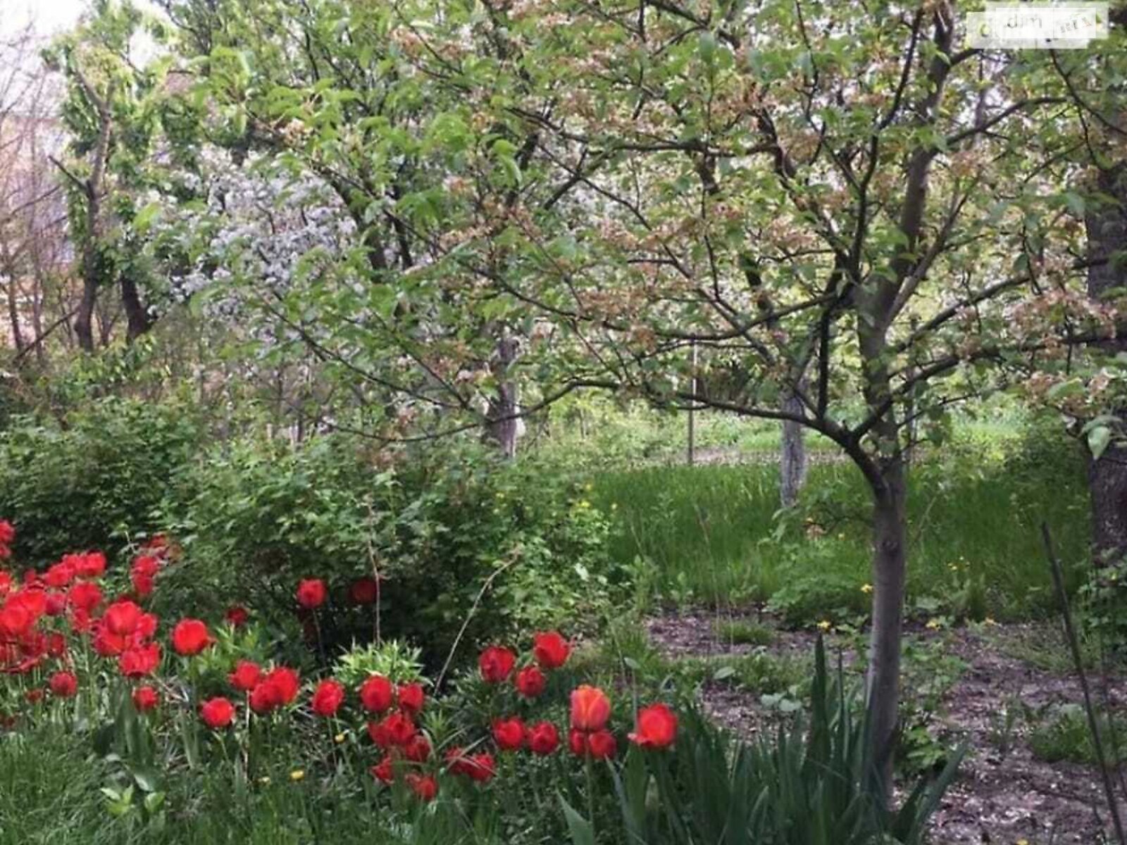двоповерховий будинок з балконом, 240 кв. м, цегла. Здається помісячно в Вінниці, в районі Замостя фото 1 двопроверховий будинок з балконом, 240 кв. м, цегла. Здається помісячно в Вінниці, в районі Замостя фото 1