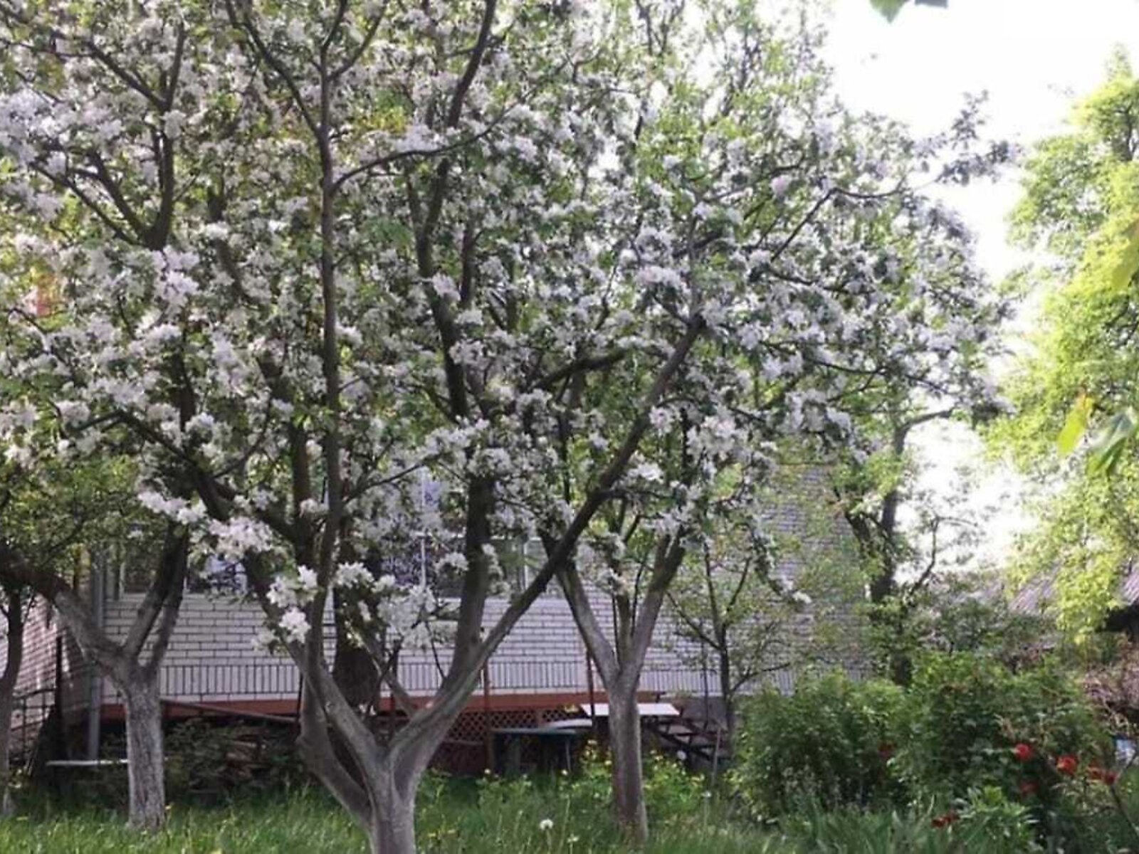 двоповерховий будинок з балконом, 240 кв. м, цегла. Здається помісячно в Вінниці, в районі Замостя фото 1 двопроверховий будинок з балконом, 240 кв. м, цегла. Здається помісячно в Вінниці, в районі Замостя фото 1