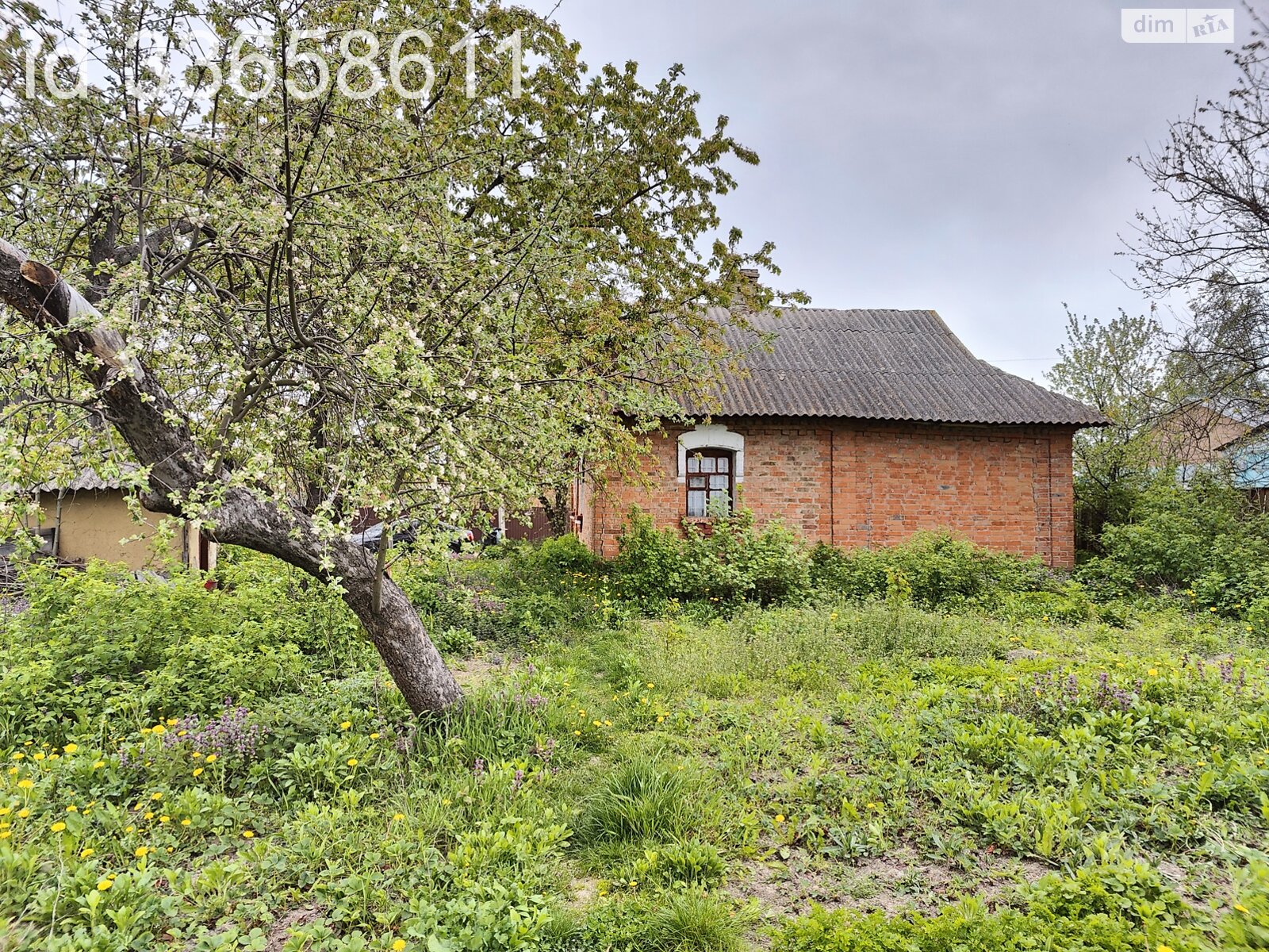 одноповерховий будинок, 40 кв. м, цегла. Здається помісячно в Вінницьких Хуторах фото 1 одноповерховий будинок, 40 кв. м, цегла. Здається помісячно в Вінницьких Хуторах фото 1