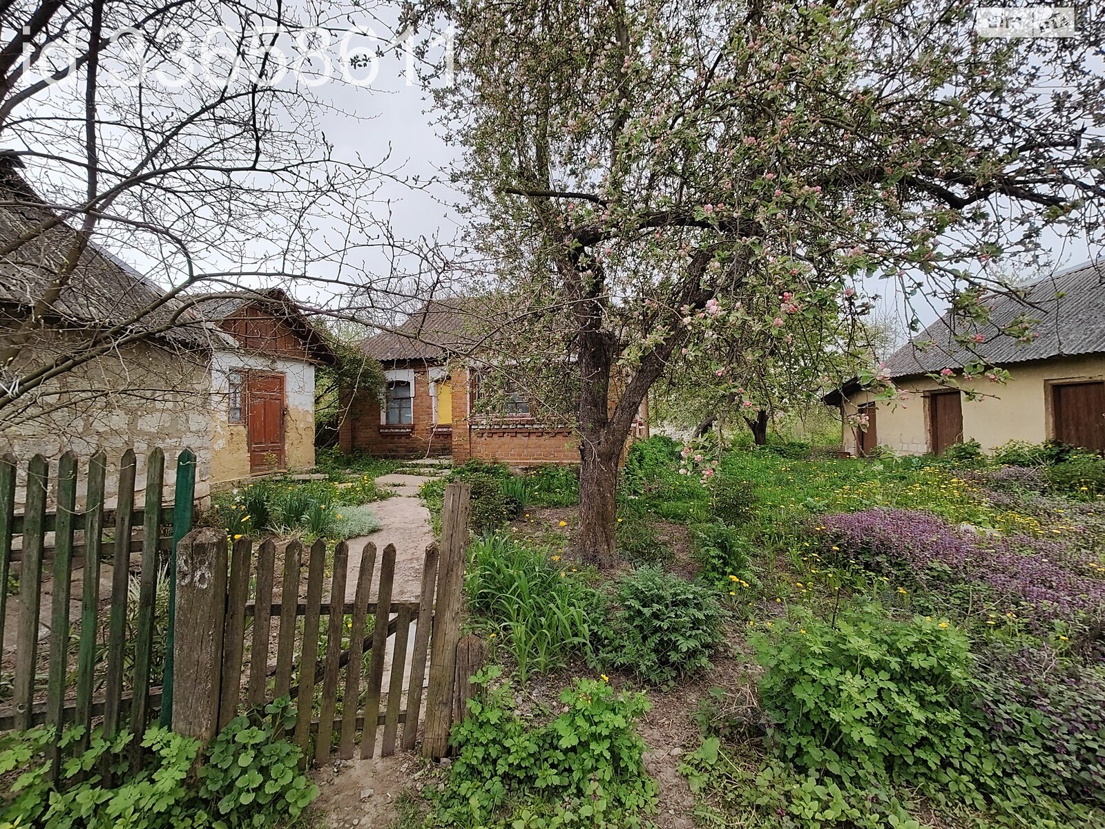 одноповерховий будинок, 40 кв. м, цегла. Здається помісячно в Вінницьких Хуторах фото 1 одноповерховий будинок, 40 кв. м, цегла. Здається помісячно в Вінницьких Хуторах фото 1