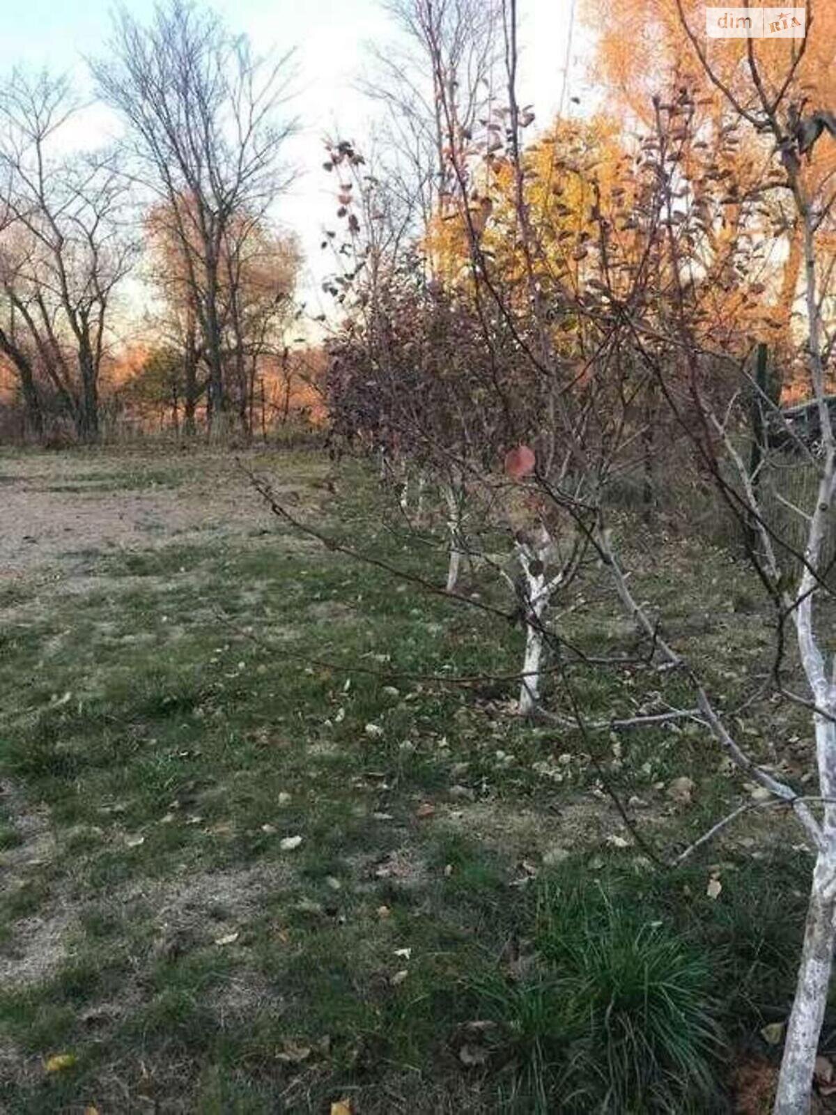 двухэтажный дом с гаражом, 250 кв. м, кирпич. Сдается помесячно в Зазимье фото 1