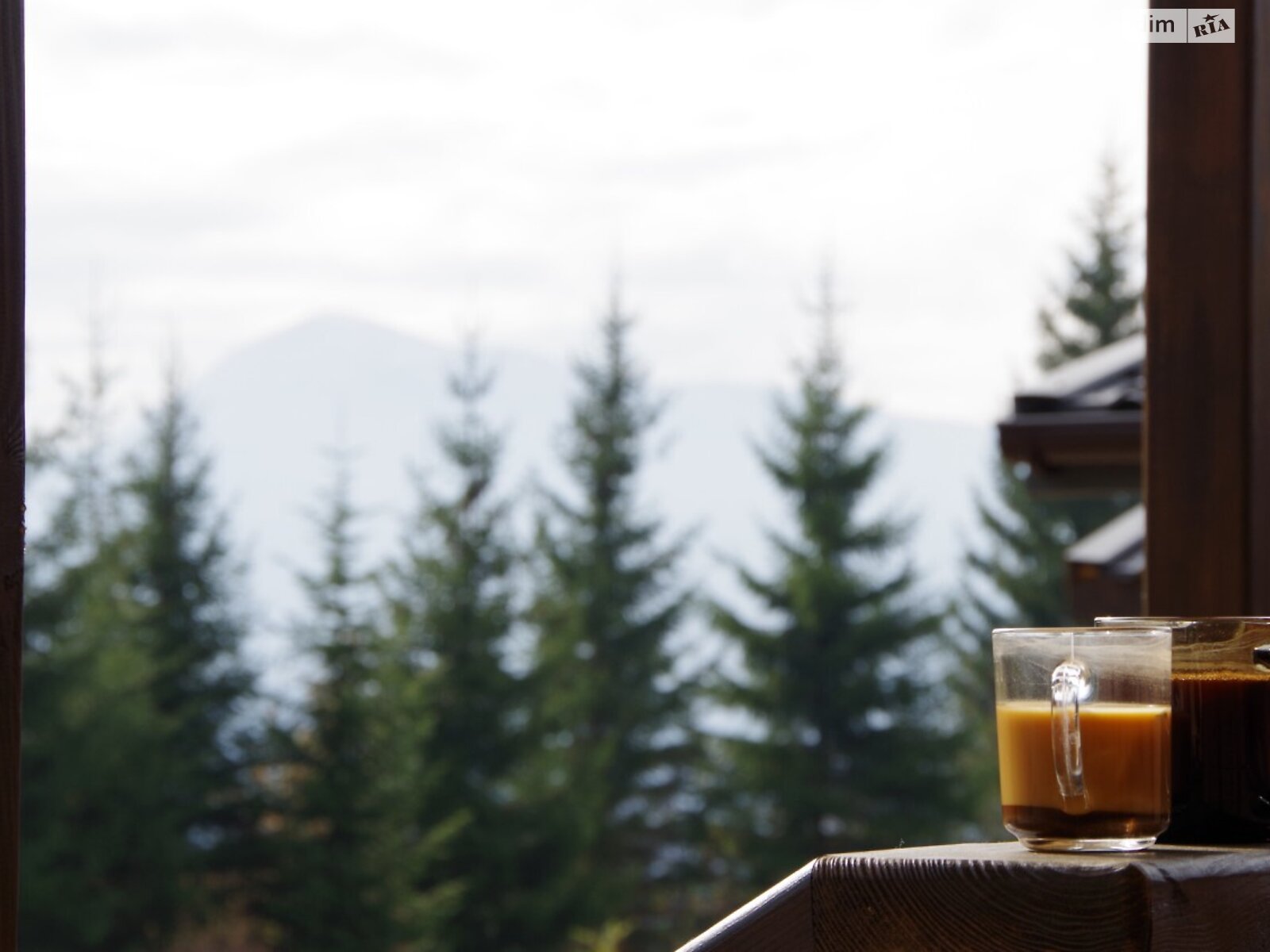 одноповерховий дуплекс, 65 кв. м, каркасно-щитовий. Здається помісячно в Яблуниці фото 1