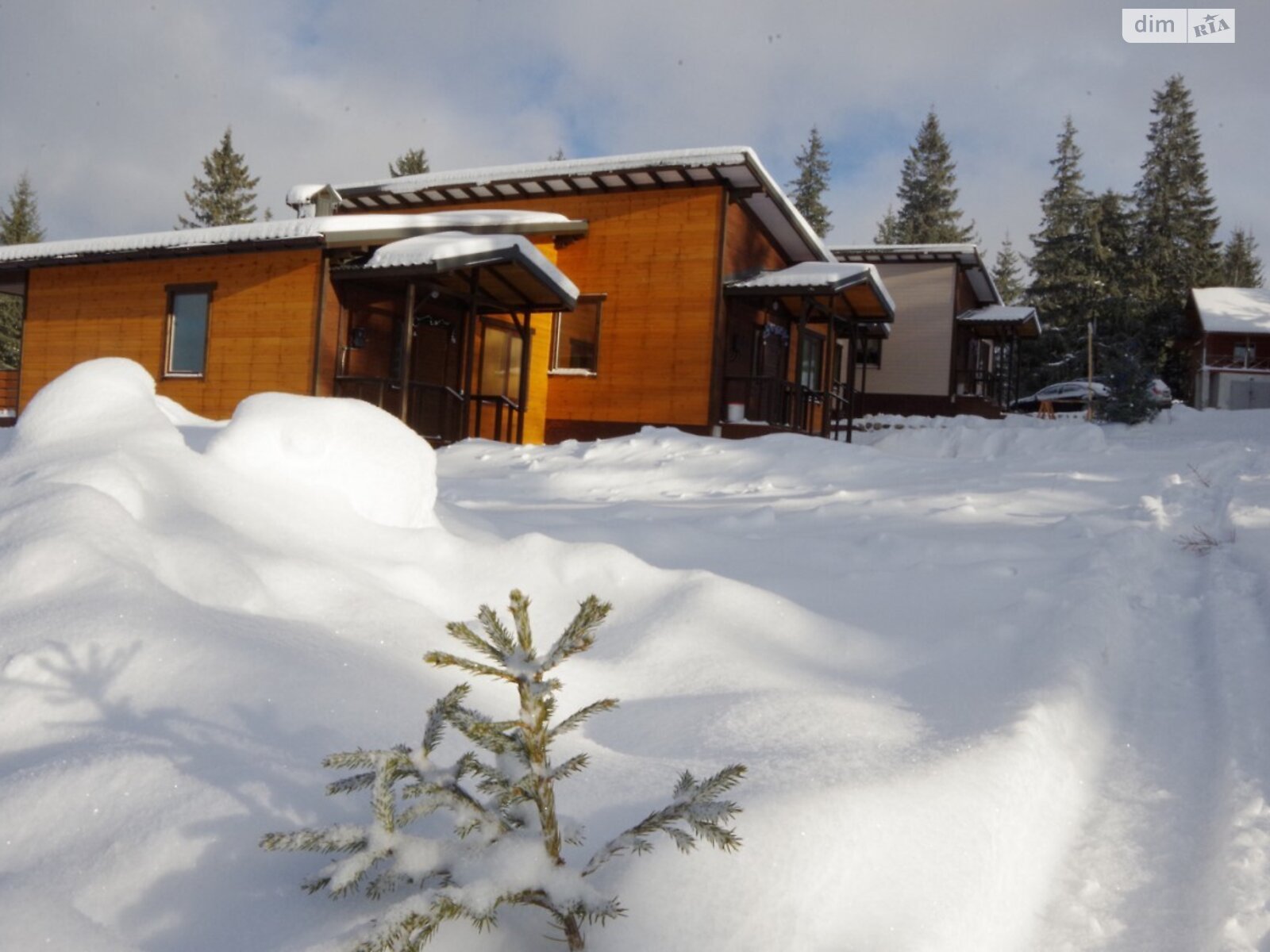 одноповерховий дуплекс, 65 кв. м, каркасно-щитовий. Здається помісячно в Яблуниці фото 1