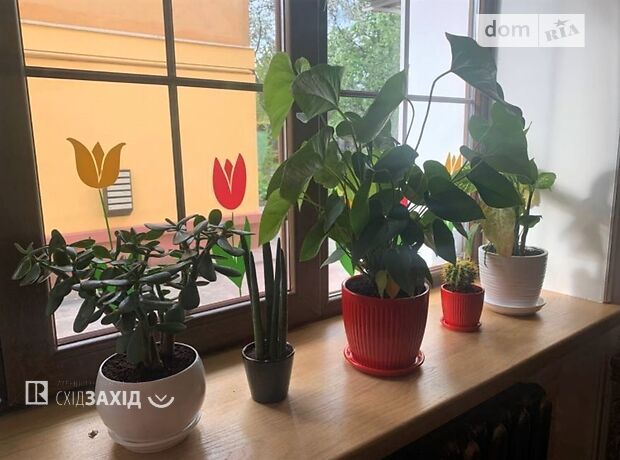 Бар, кафе, ресторан в Чернігові, здам в оренду по Кирпоноса вулиця 17, район Центральний Ринок, ціна: 17 675 грн за об’єкт фото 1 Бар, кафе, ресторан в Чернігові, здам в оренду по Кирпоноса вулиця 17, район Центральний Ринок, ціна: 17 675 грн за об’єкт фото 1