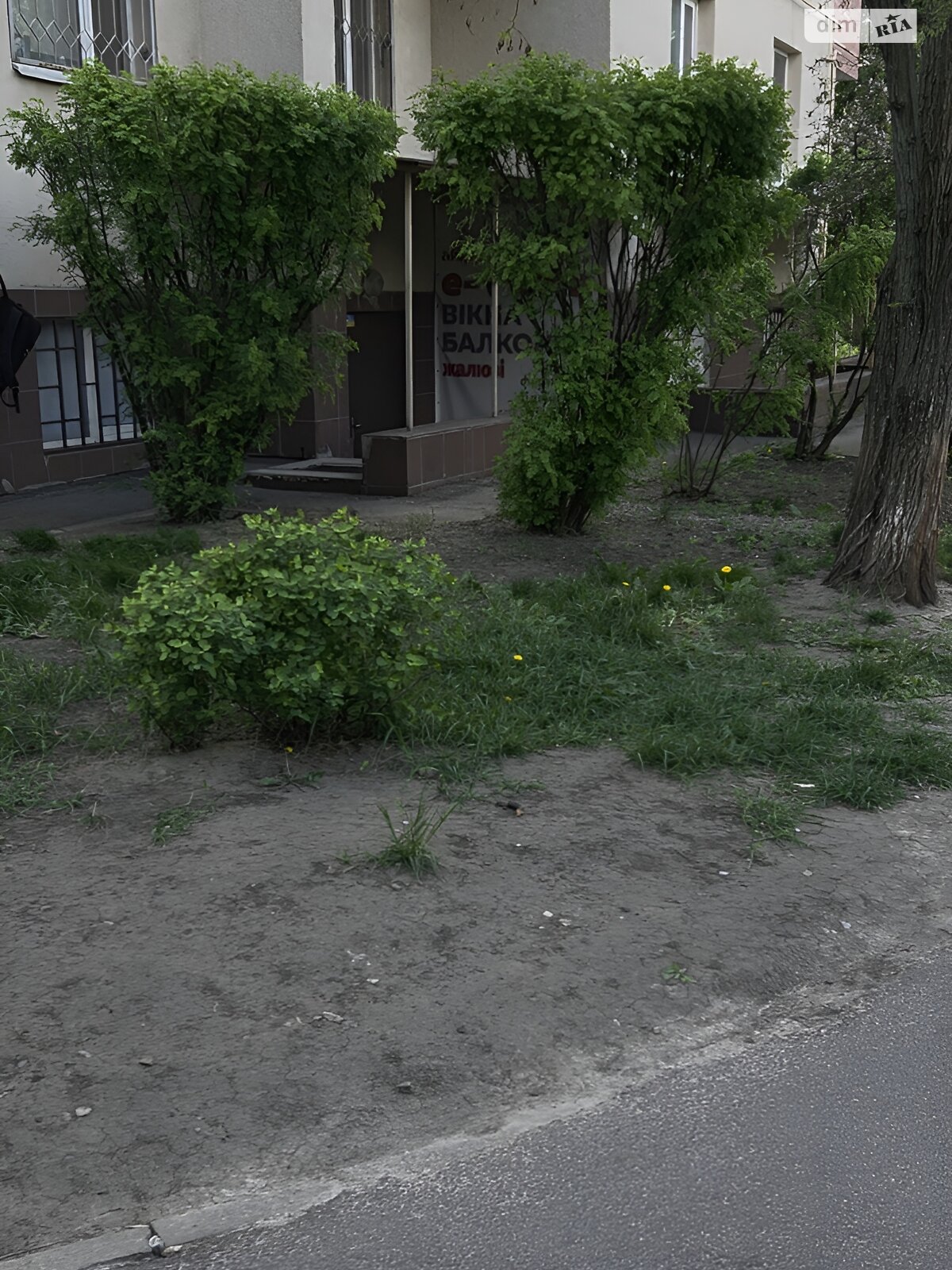 Комерційне приміщення в Харкові, здам в оренду по Старицького вулиця 23А, район 6-ий мікрорайон, ціна: 8 000 грн за об’єкт фото 1 Комерційне приміщення в Харкові, здам в оренду по Старицького вулиця 23А, район 6-ий мікрорайон, ціна: 8 000 грн за об’єкт фото 1