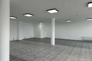 Комерційне приміщення в Хмельницькому, здам в оренду по Князя Святослава Хороброго (Толстого Льва) вулиця 5, район Кам’янецький переїзд, ціна: 99 160 грн за об’єкт фото 2