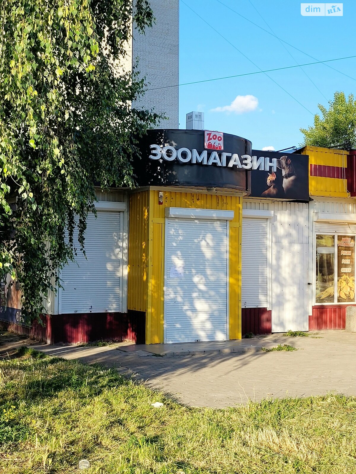 Комерційне приміщення в Житомирі, здам в оренду по Українки Лесі вулиця 57, район Центр, ціна: 12 000 грн за об’єкт фото 1 Комерційне приміщення в Житомирі, здам в оренду по Українки Лесі вулиця 57, район Центр, ціна: 12 000 грн за об’єкт фото 1