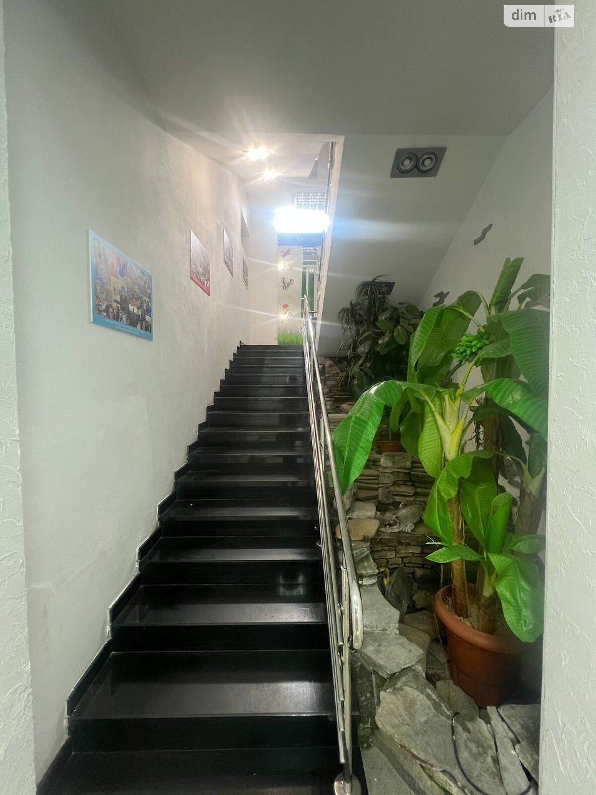 Коммерческое помещение в Житомире, сдам в аренду по Большая Бердичевская улица 18, район Центр, цена: 45 000 грн за объект фото 1