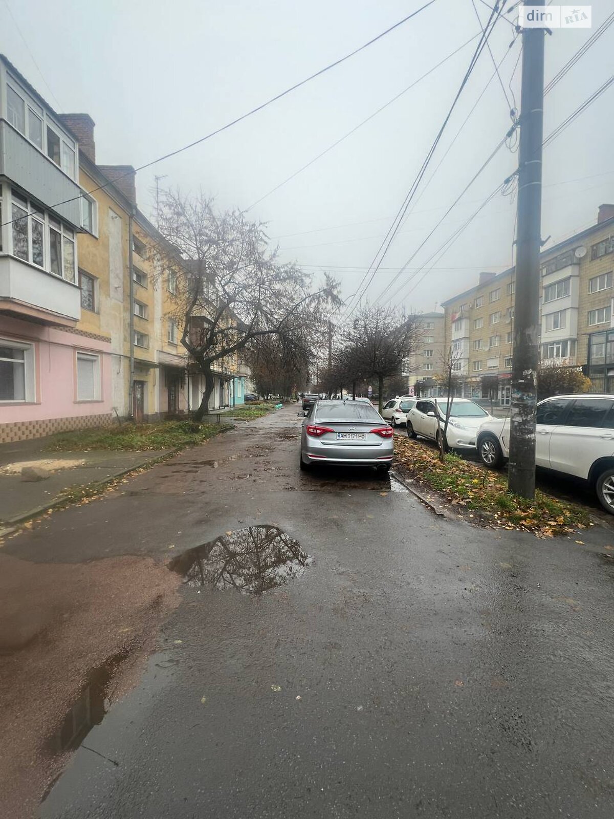 Коммерческое помещение в Житомире, сдам в аренду по Лятошинского Бориса улица 16, район Центр, цена: 30 000 грн за объект фото 1