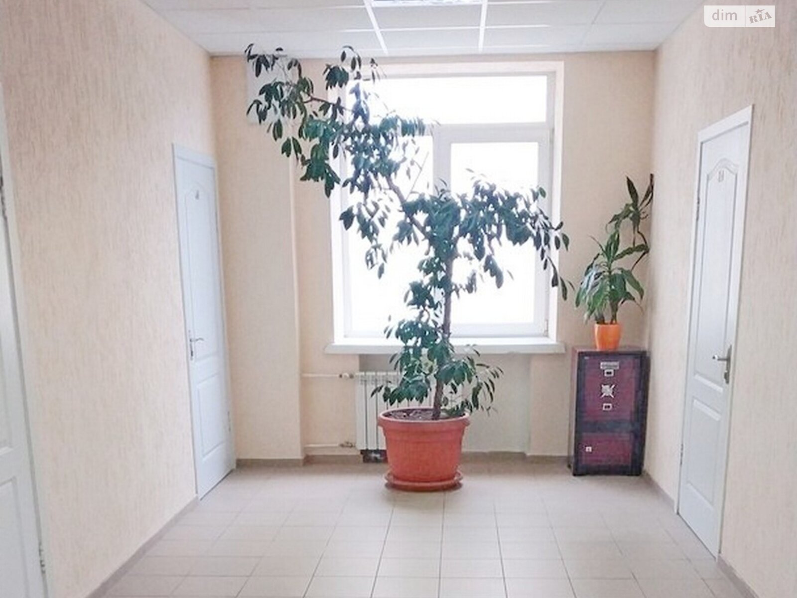 Коммерческое помещение в Киеве, сдам в аренду по Предславинская улица, район Саперное Поле, цена: 7 045 грн за объект фото 1