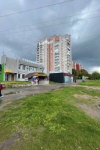 Комерційне приміщення в Львові, здам в оренду по Червоної Калини проспект, район Сихів, ціна: 58 000 грн за об’єкт фото 2